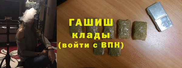 стаф Алзамай