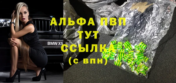 стаф Алзамай
