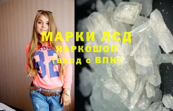 стаф Алзамай