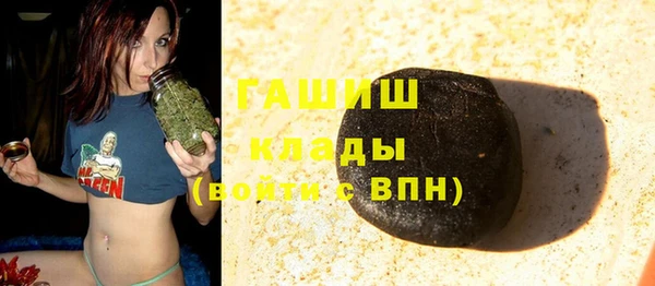 стаф Алзамай