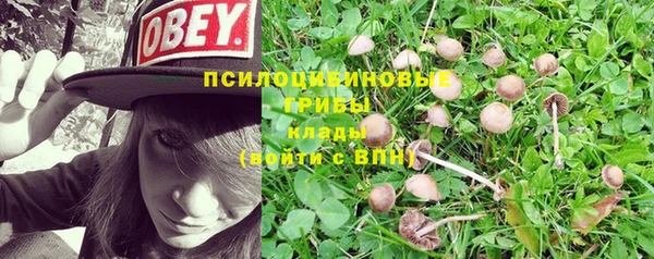 mix Алексеевка